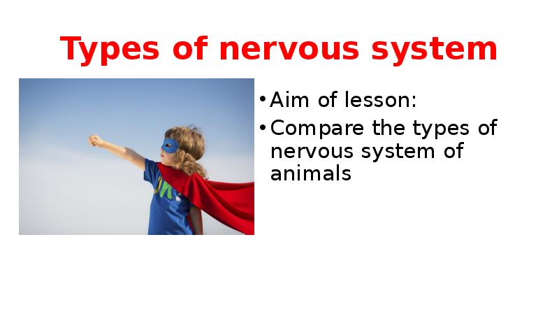 Types of nervous system Aim of lesson: Compare the types of