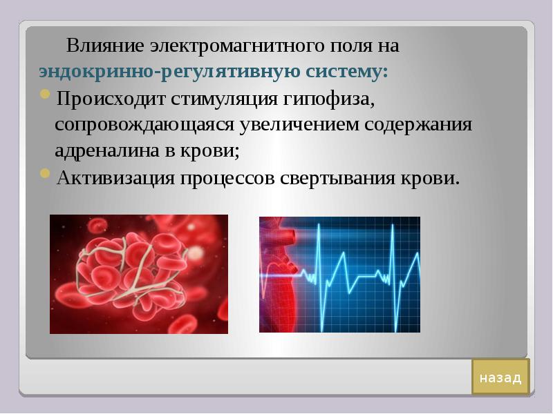 Действие электромагнитных полей на человека презентация