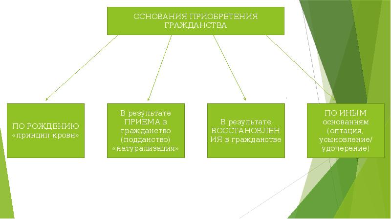 Гражданство 10 класс обществознание презентация