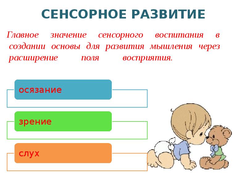 Что значит важно. Ступени сенсорного воспитания. Перцептивные поля. Перцептивное поле. Что говорил Запорожец о значении сенсорного развития ребенка.