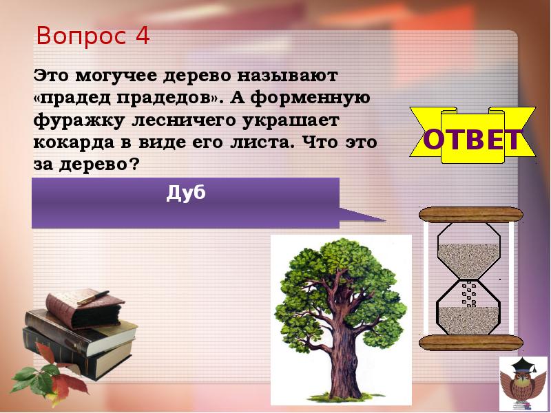 Ответ дуб. Дерево прадед прадедов. Могучее дерево прадед прадедов. Форменную фуражку лесничего украшает кокарда в виде его листа. Дерево которое в народе называют прадедом прадедов.