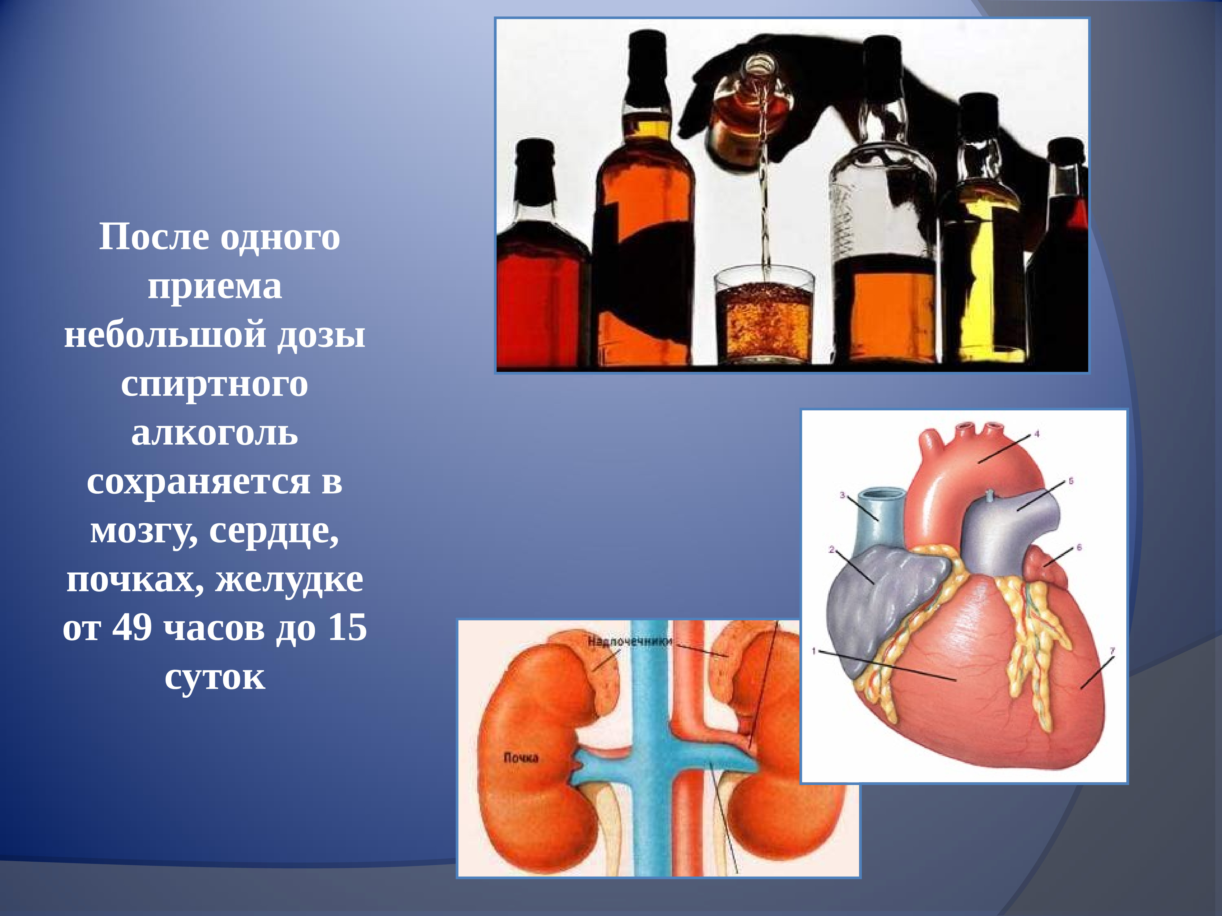 Презентация на тему влияние алкоголя на организм