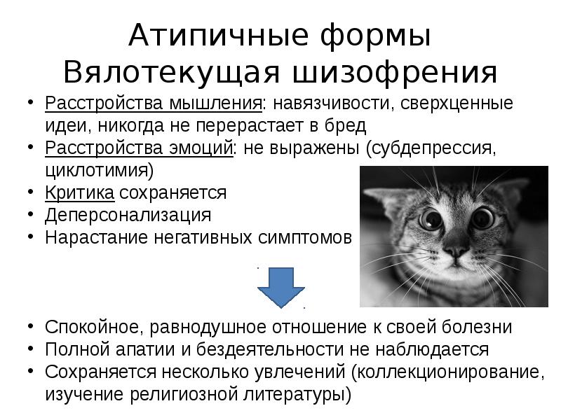 Проект шизофрения по биологии