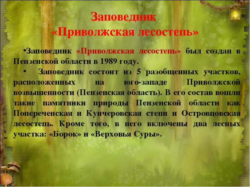 Суть заповедников. Пензенский заповедник Приволжская лесостепь. Приволжская лесостепь заповедник. Заповедники Пензенской области. Заповедники Пензенской области 4 класс.