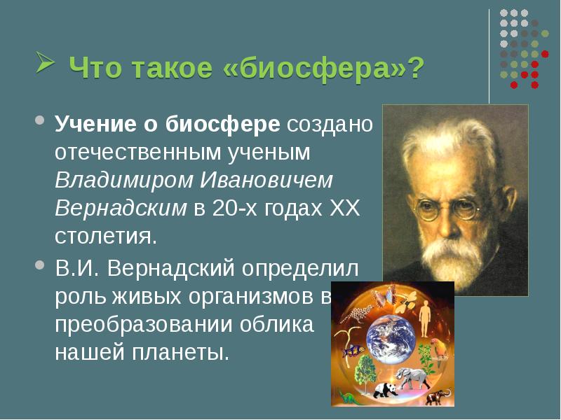 Учение о биосфере создано русским. Автор учения о биосфере. Представление Вернадского о биосфере.