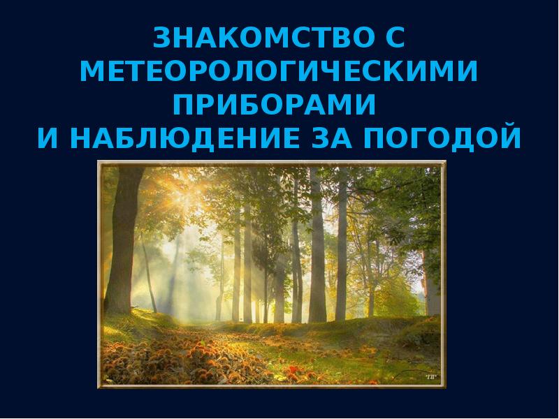 Урок практикум экскурсия в природу 5 класс география презентация