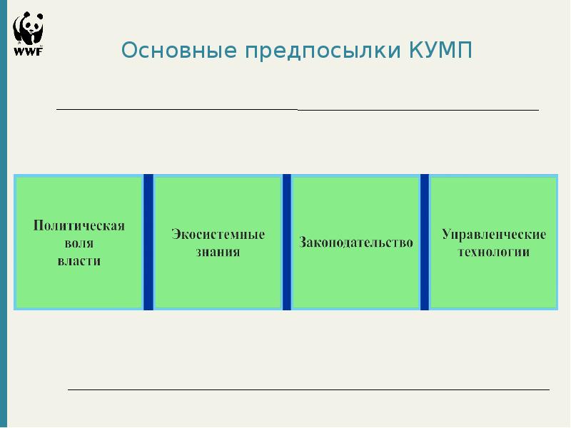 Комплексный отдел. КУМП физиология.