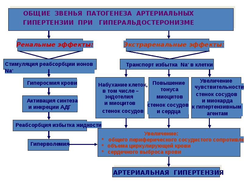 Схема гипертоническая болезнь