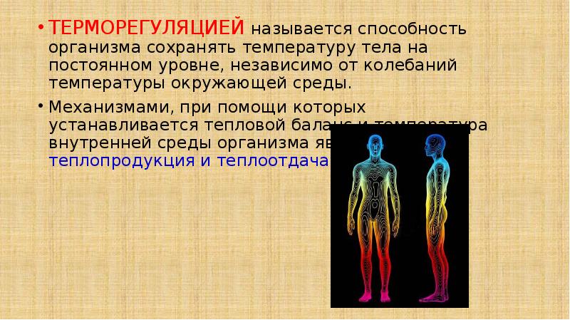 Способы терморегуляции организма человека. Патология терморегуляции. Терморегуляция организма слайд. Заболевание связанные с терморегуляцией.