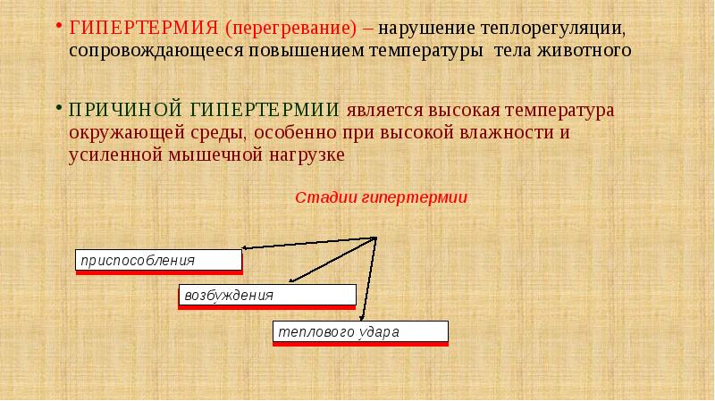 Нарушение терморегуляции презентация