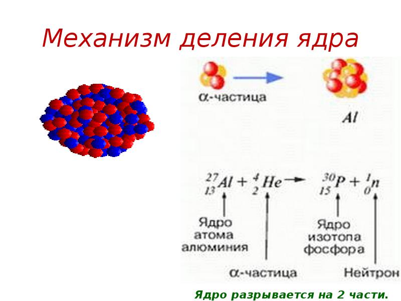 Ядро алюминия. Механизм деления ядра. Ядерные частицы. Альфа частица в ядерной реакции. Частицы ядра.