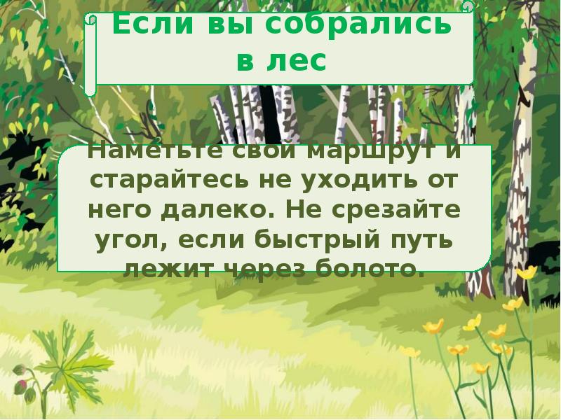 Правило леса никому не доверять. Правила леса. Будьте внимательны в лесу. Памятка правила в лесу. Правила леса для детей.