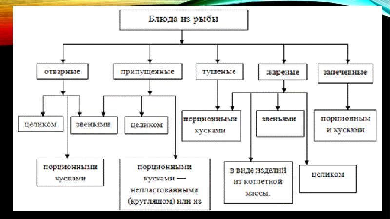 Схема классификации рыбы