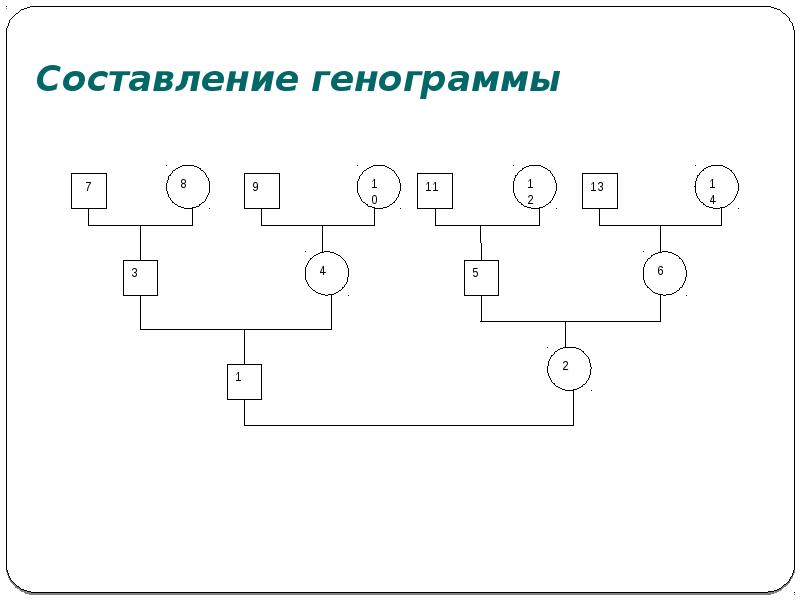 Как составить генограмму семьи схема пример