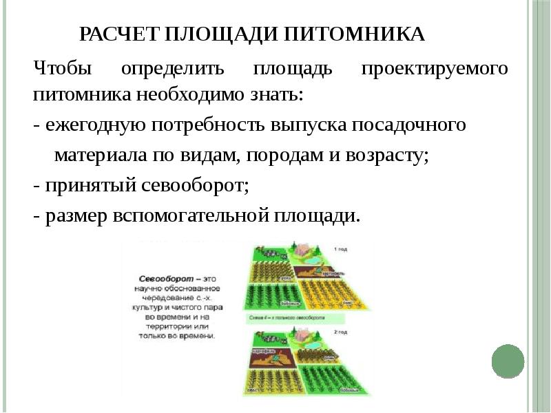 План организации питомника