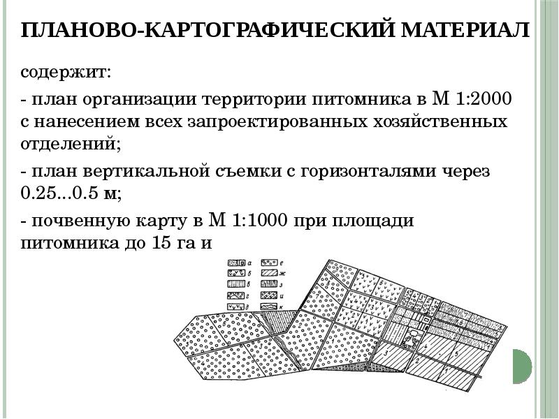 План организации питомника