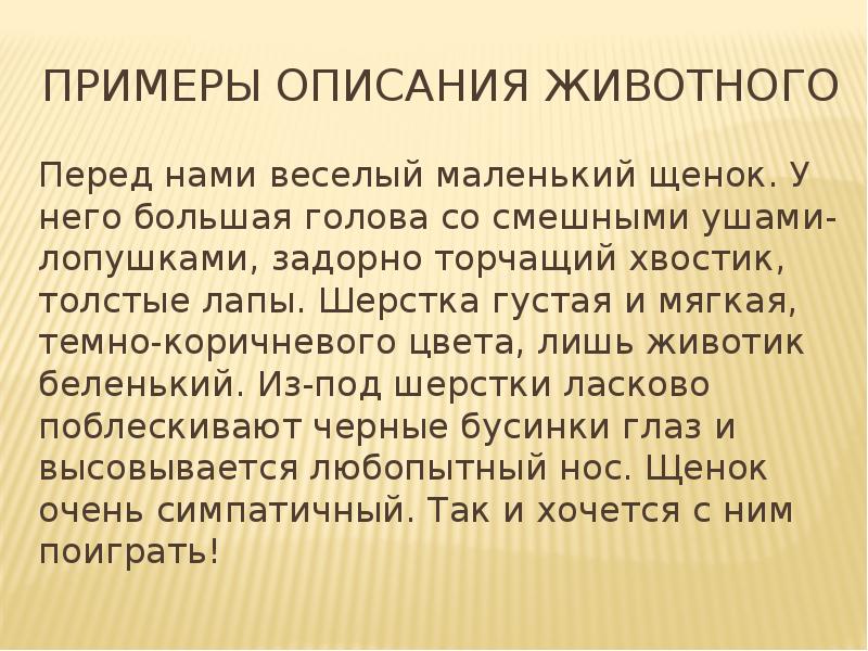 Сочинение описание животного 5 класс русский язык. Сочинение описание животного. План сочинения описания животного. Описание животного по плану. Сочинение описание животного 5 класс.