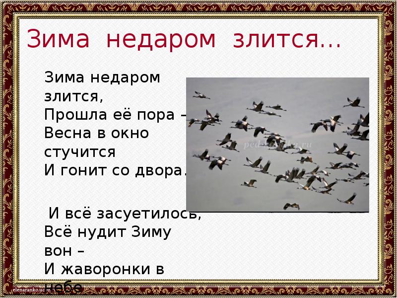 Песни жаворонков снова зазвенели в вышине. Стихотворение ф.Тютчев зима недаром злится. Тютчев зима не даром снится. Зима недаром злится стихотворение. Стих зима не даром злитя.