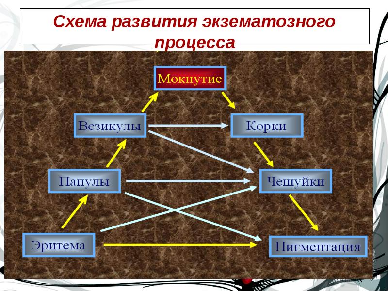 Треугольник крейбиха гистологическая картина