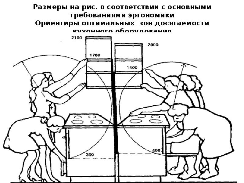 Эргономические схемы музея