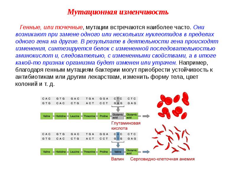 Презентация на тему мутационная изменчивость виды мутаций