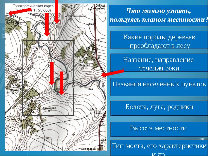 Топографическим планом называют 5 класс