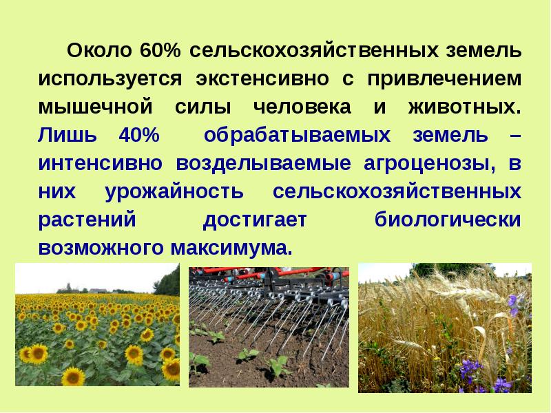 Рациональное использование почв. Использование почвы человеком. Защита почвы. Как человек использует почву. Как используются почвы человеком.