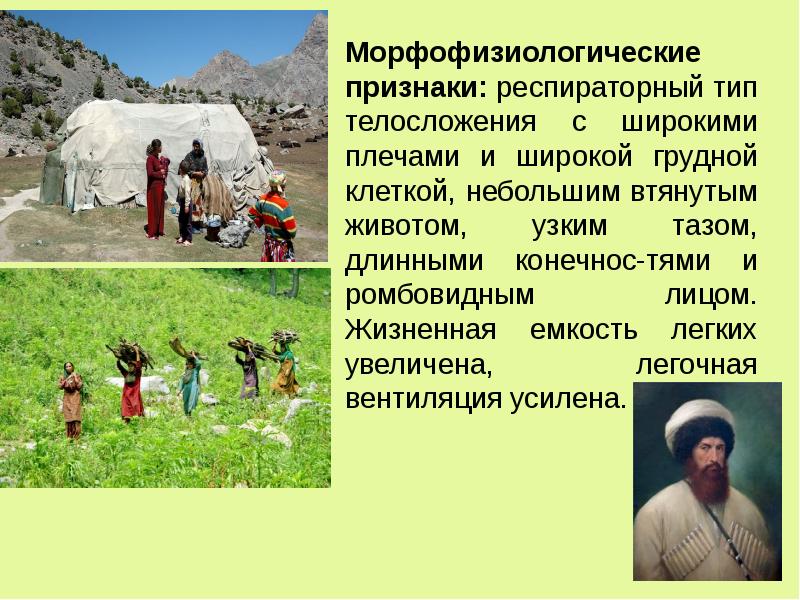 Морфофизиологические признаки это. Морфофизиологические признаки это. Морфофизиологическая адаптация. Морфофизиологические признаки это. Автономизация онтогенеза.