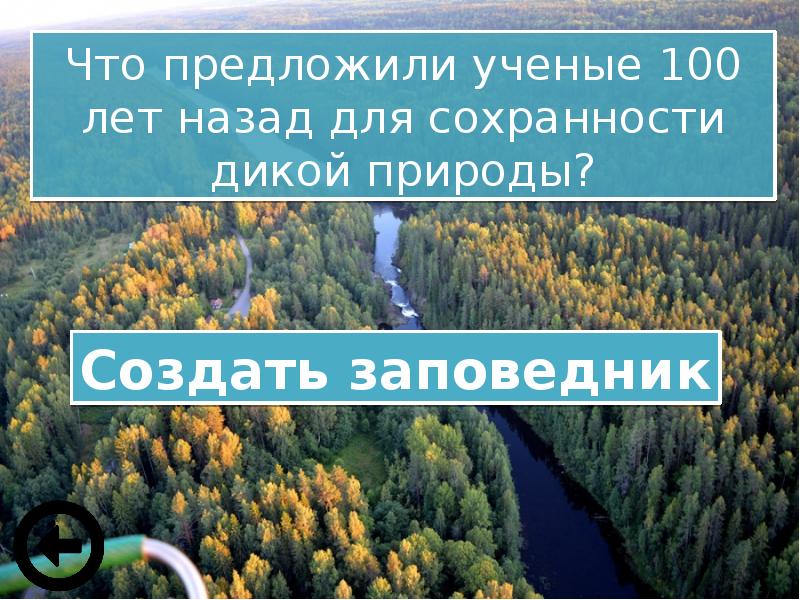 Проект сохрани мир живой природы 3 класс