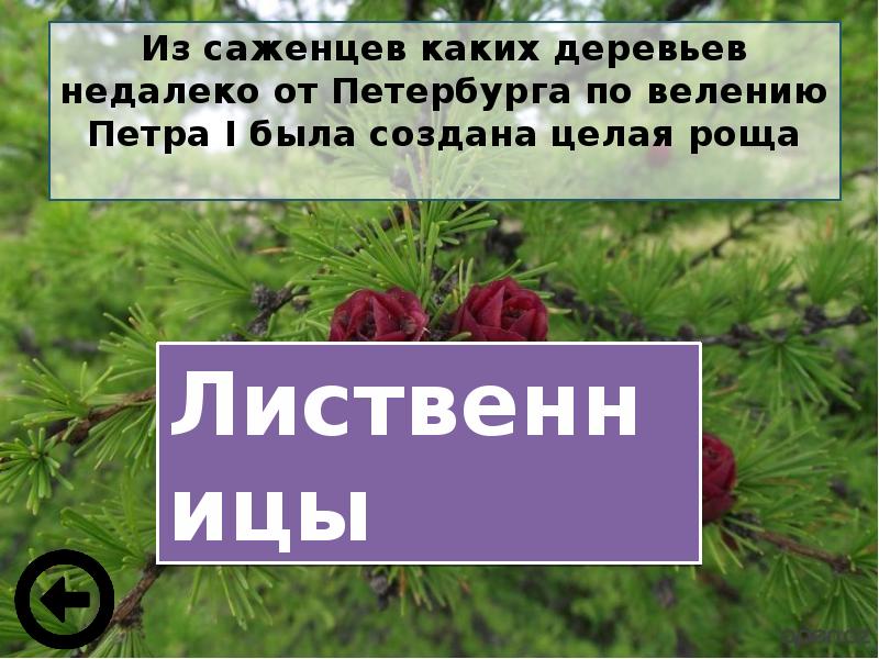 Презентация сохраним богатство живого мира 5 класс фгос пономарева