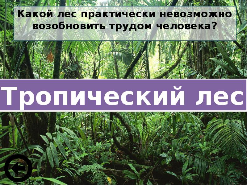 Презентация сохраним богатство живого мира 5 класс фгос пономарева