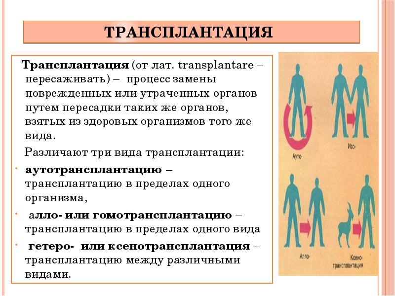 Этические проблемы трансплантологии и ксенотрансплантации презентация