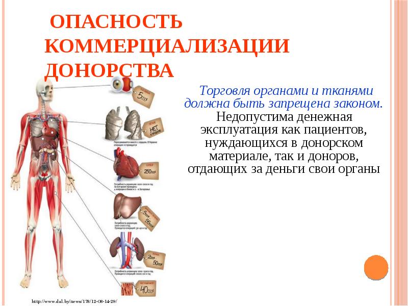 Трансплантация биоэтика презентация