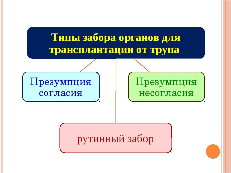 Трансплантация биоэтика презентация