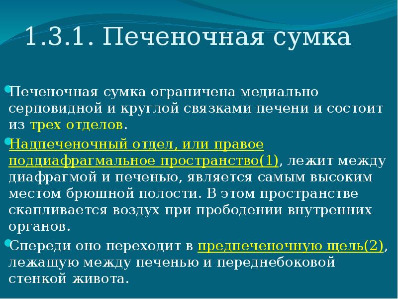 Медиальную стенку правой печеночной сумки составляет