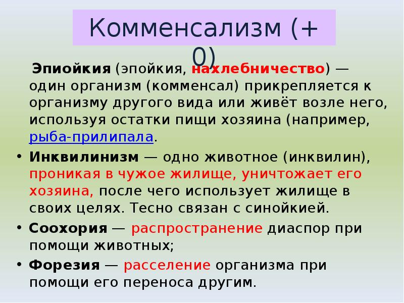 Эпиойкия (эпойкия, нахлебничество) — один организм (комменсал) прикрепляется к организму другого вида Эпиойкия (эпойкия, нахлебничество) — один организм (комменсал) прикрепляется к организму другого вида