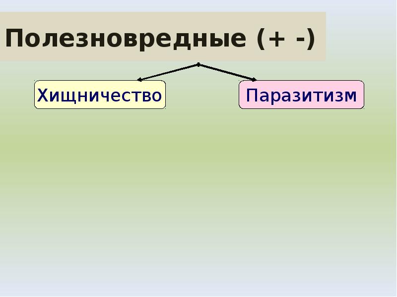 Полезновредные (+ -) Полезновредные (+ -)