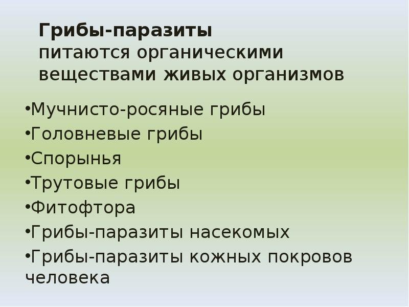 Грибы-паразиты питаются органическими веществами живых организмов
Мучнисто-росяные грибы
Головневые грибы
Спорынья Грибы-паразиты питаются органическими веществами живых организмов
Мучнисто-росяные грибы
Головневые грибы
Спорынья