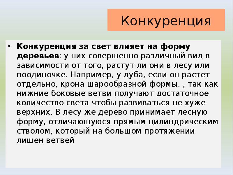 Конкуренция за свет влияет на форму деревьев: у них совершенно различный Конкуренция за свет влияет на форму деревьев: у них совершенно различный