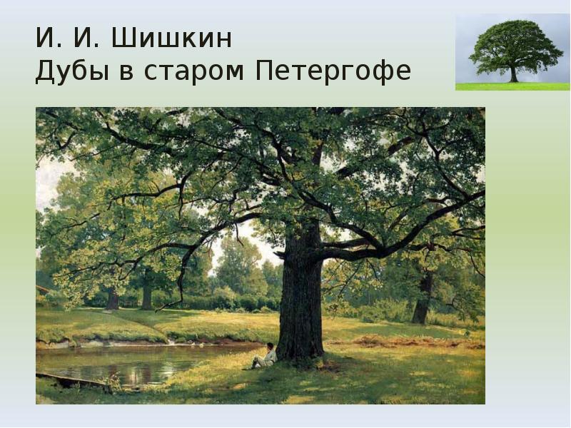 И. И. Шишкин Дубы в старом Петергофе И. И. Шишкин Дубы в старом Петергофе