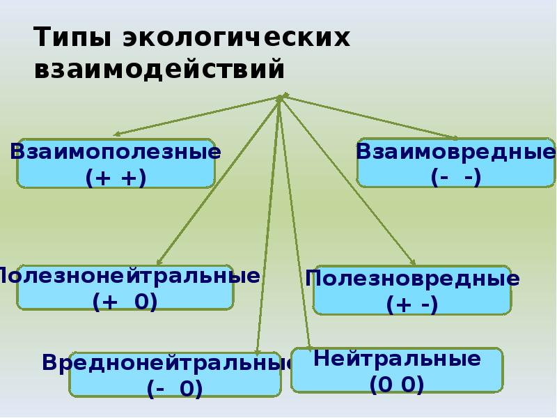 Типы экологических взаимодействий Типы экологических взаимодействий