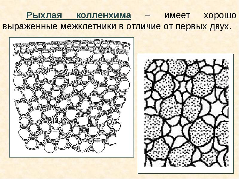 Механическая ткань рисунок