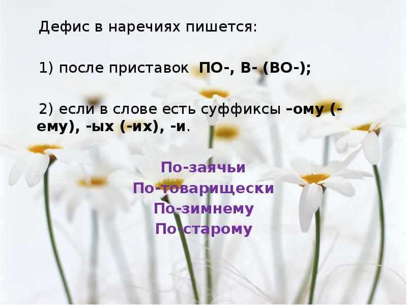 По весеннему тепло наречие пишется. Ромашка наречий. Цветок Ромашка нужен дефис. В начале было слово как пишется. Ромашка о сведениях наречия.