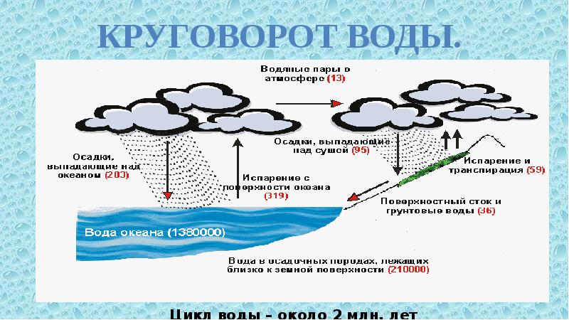 Презентация средообразующая деятельность организмов 9 класс