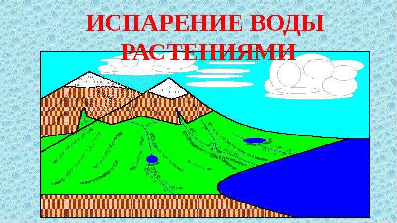 Презентация средообразующая деятельность организмов 9 класс