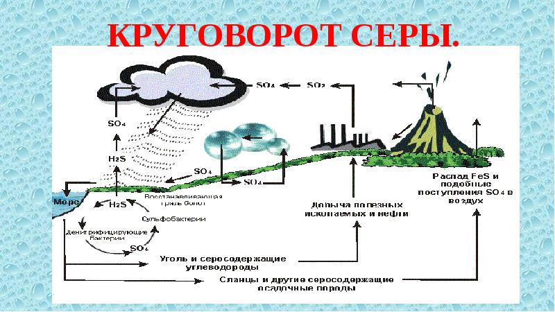 Биохимический цикл схема