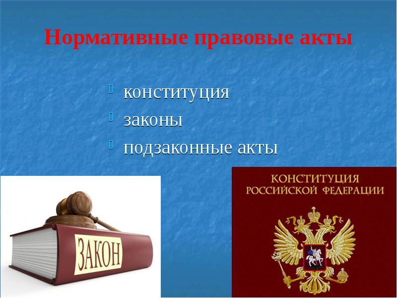 Проекты законодательных актов