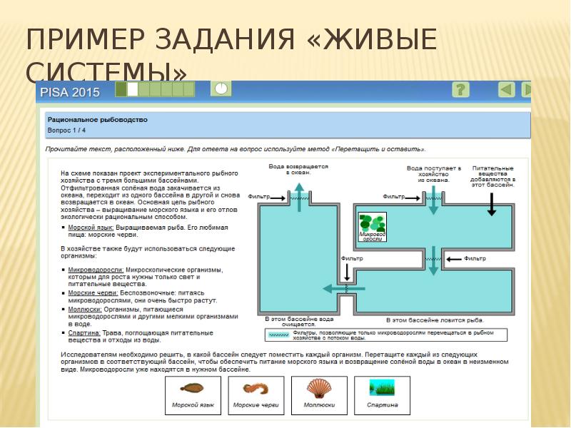 Живые задачи презентация