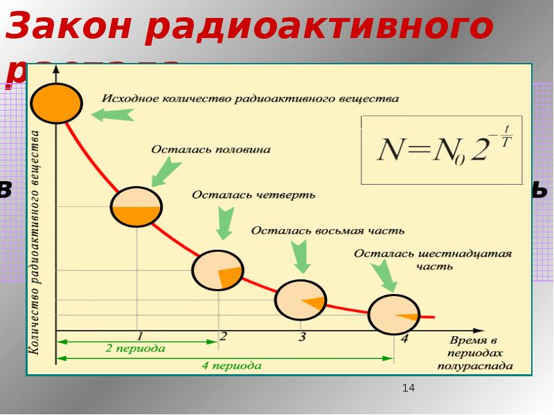 Кривые радиоактивного распада для четырех изотопов представлены на рисунке