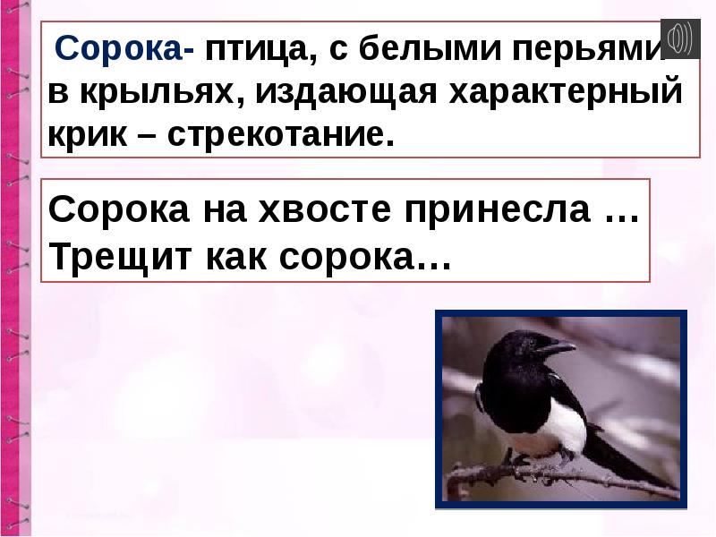 Сорок появляться. Сорока на хвосте принесла. Птица на хвосте принесла. Сорока трещит. Трещит как сорока.